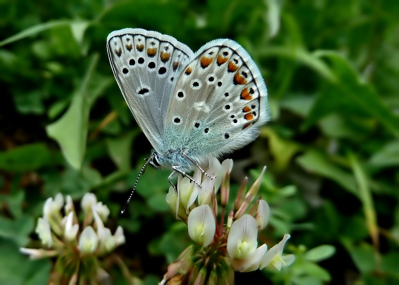 ...in attesa dei primi incontri...QUIZZZZZZ